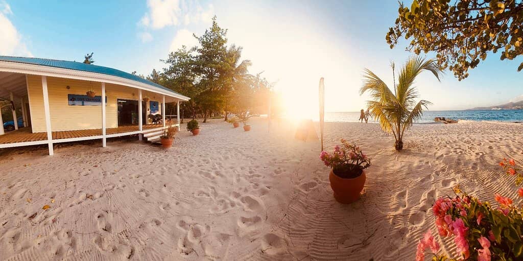 Marine Life Encounters