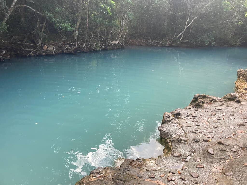 Tranquil Green Surroundings