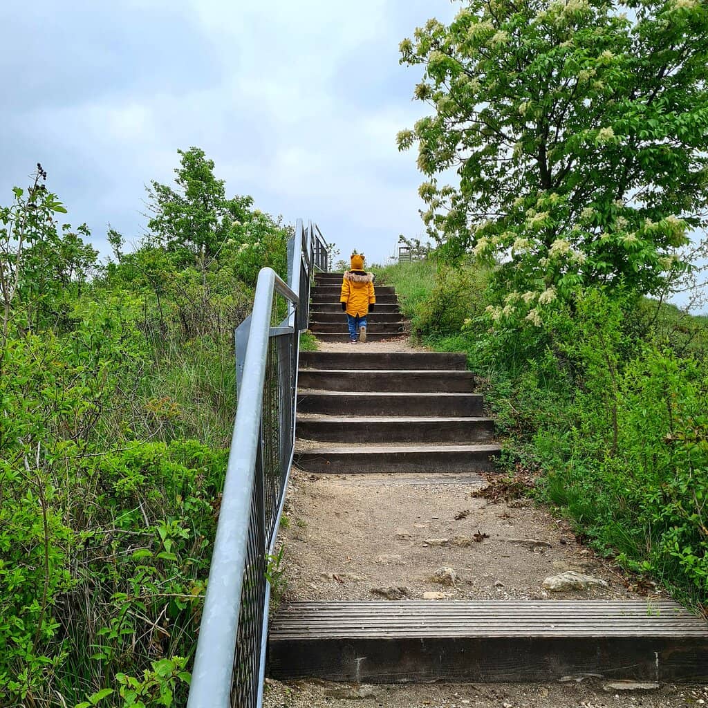 Prehistoric Marine Life Exhibits