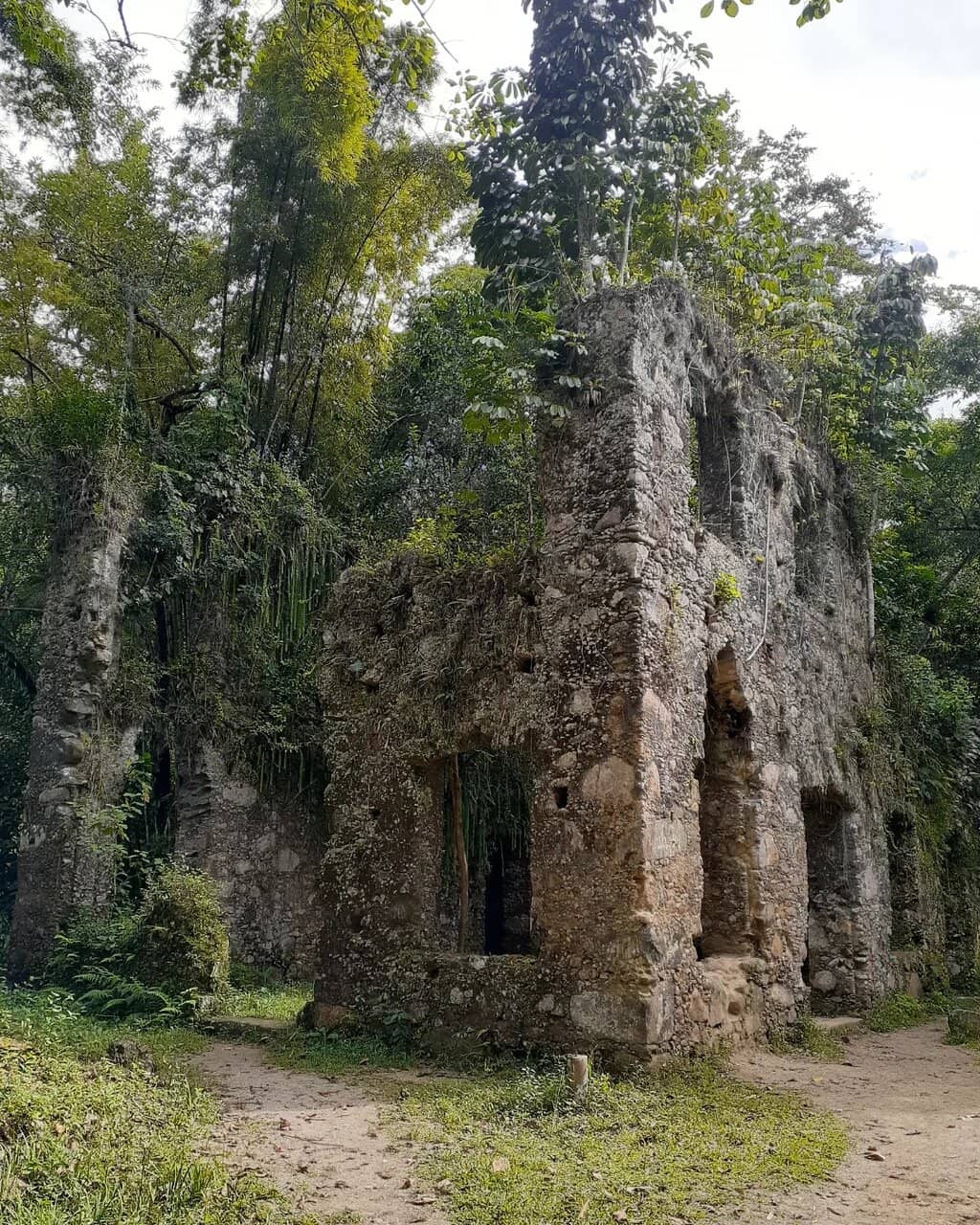 Vertical photo