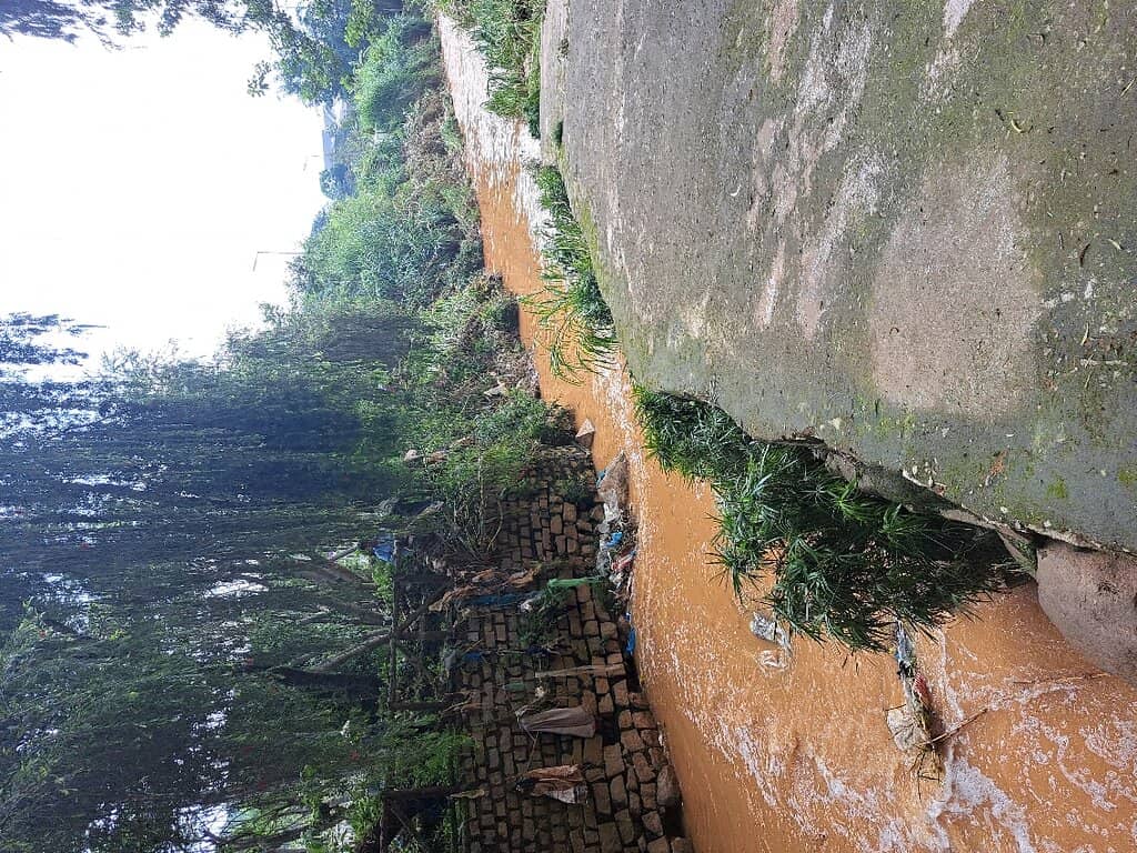 Vertical photo
