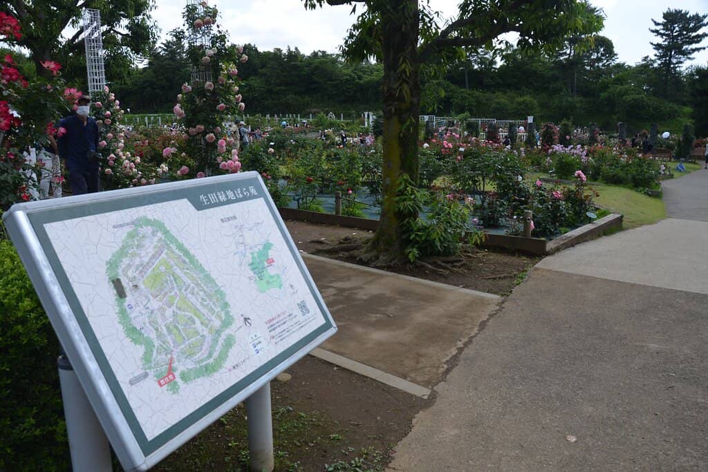 Volunteer Maintained Beauty