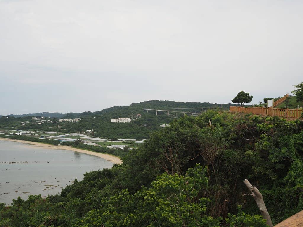 Coastal Roadside Charm