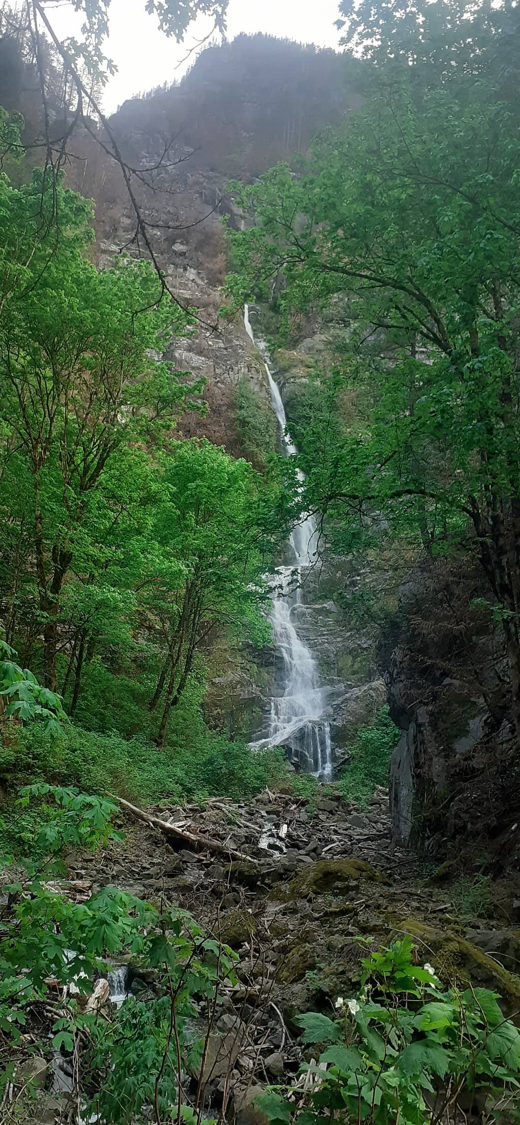 Vertical photo