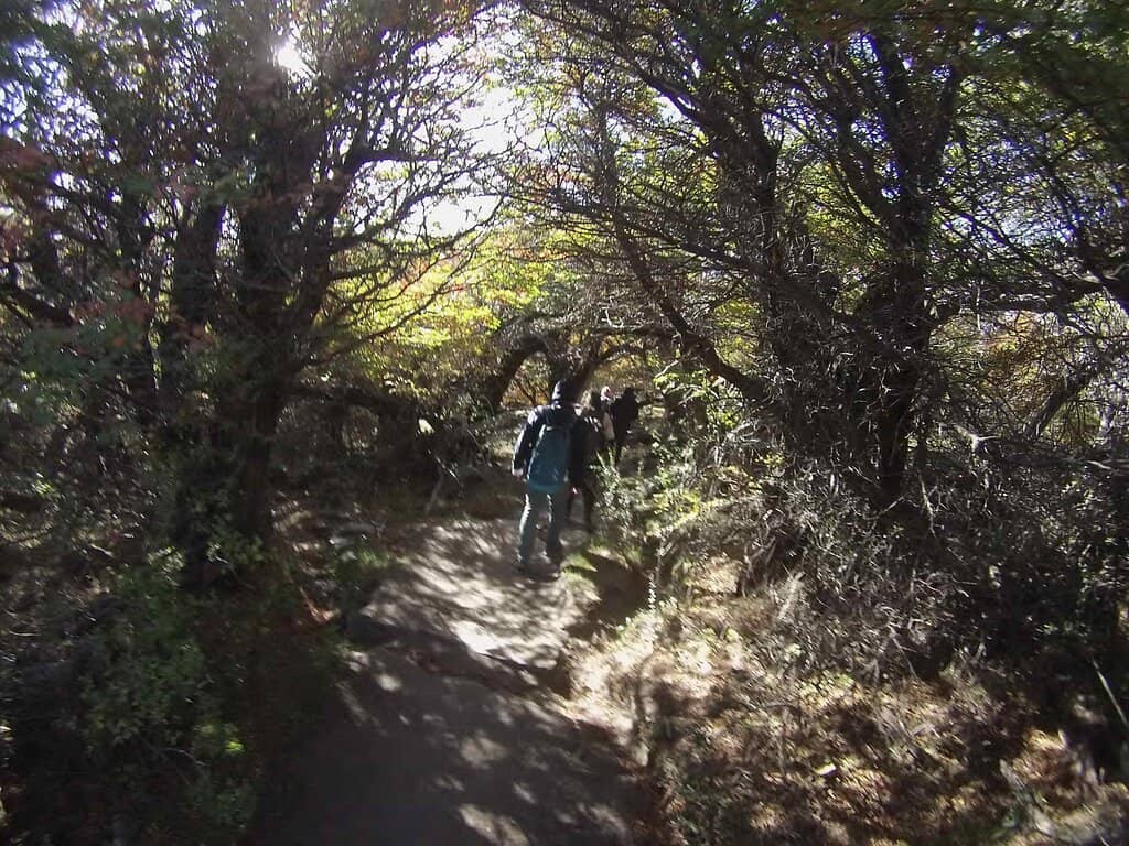 Adventure Activities