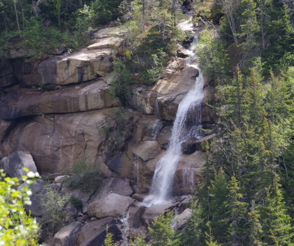 The Forked Cascade
