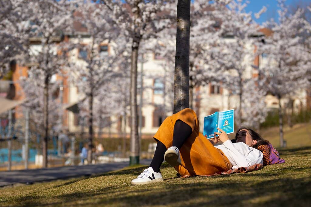 Playgrounds