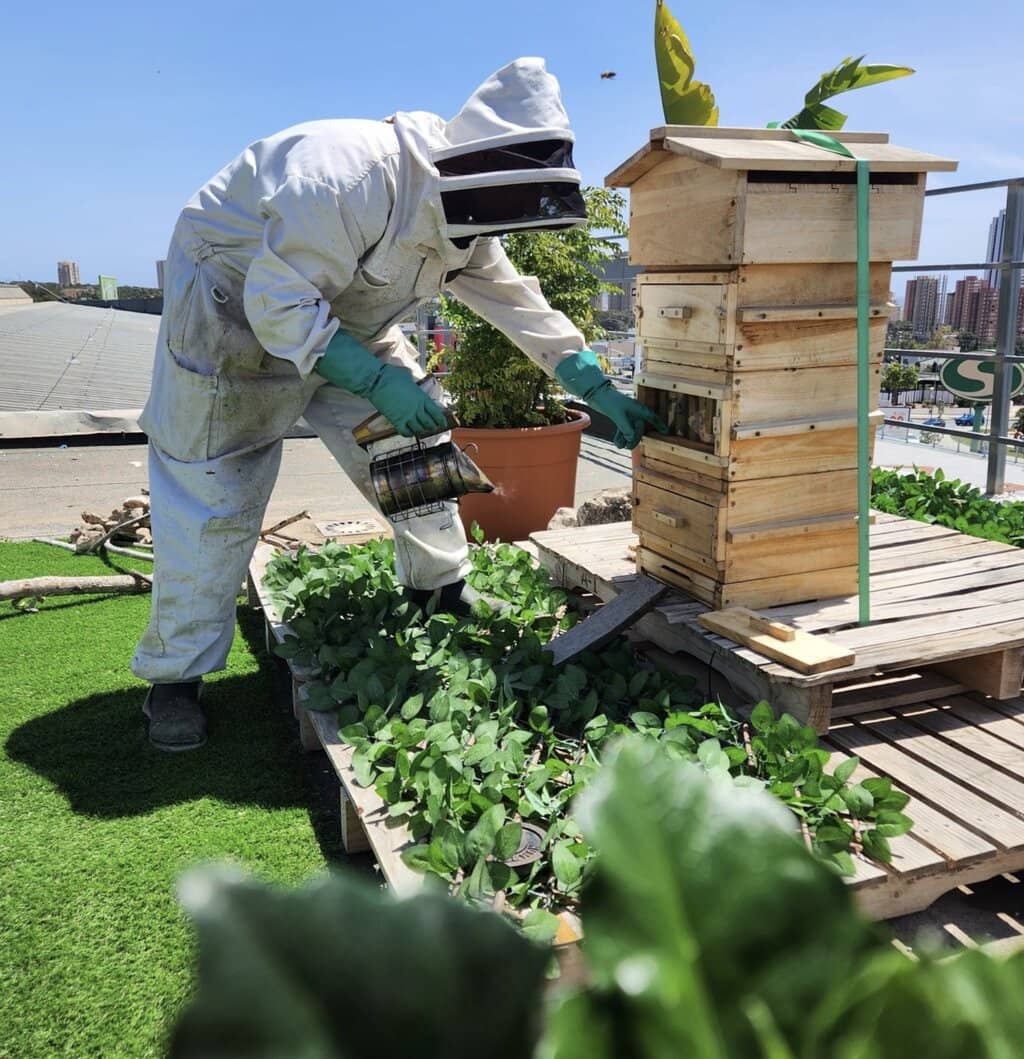 Rooftop Dining with Views