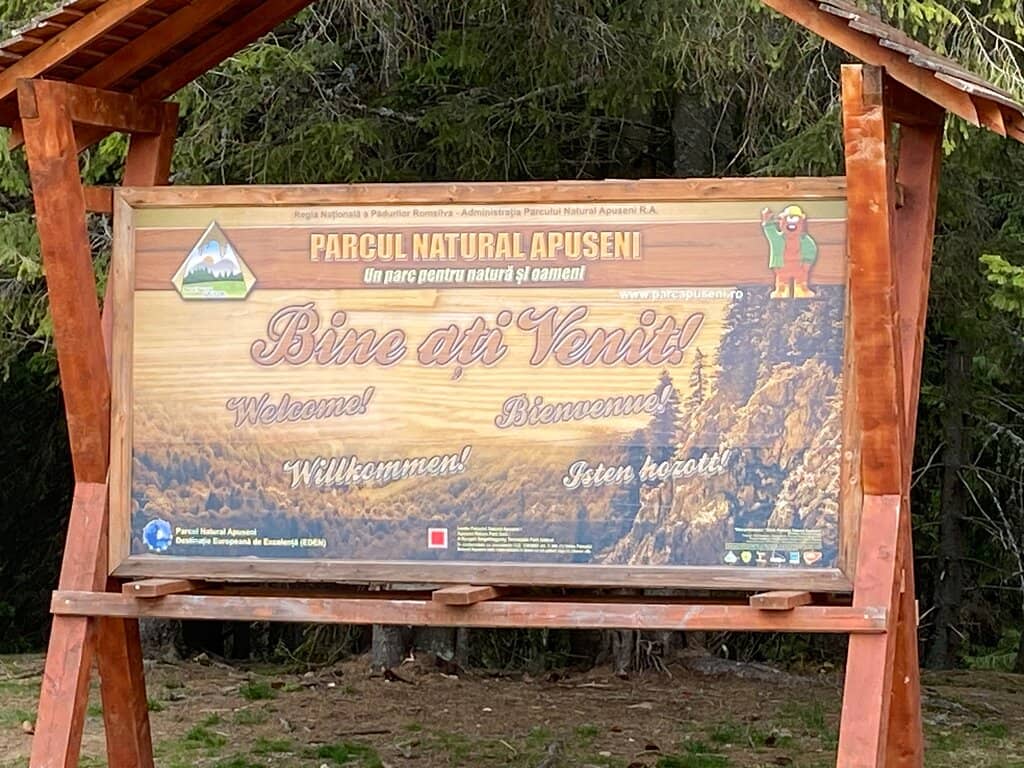 Wild Horses of Marga