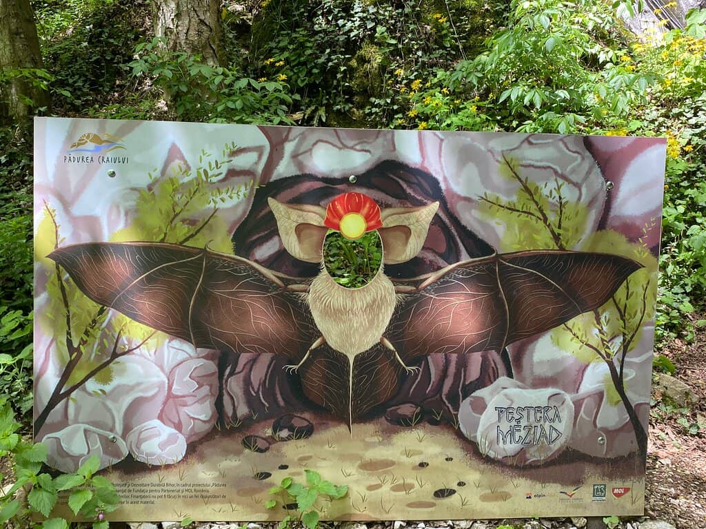 Third hero image