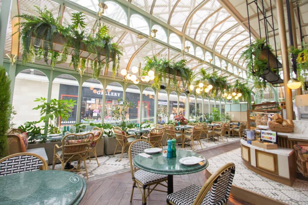 LEGO Store (Coming Soon!)