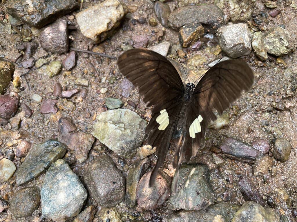 Bride's Pool Waterfall