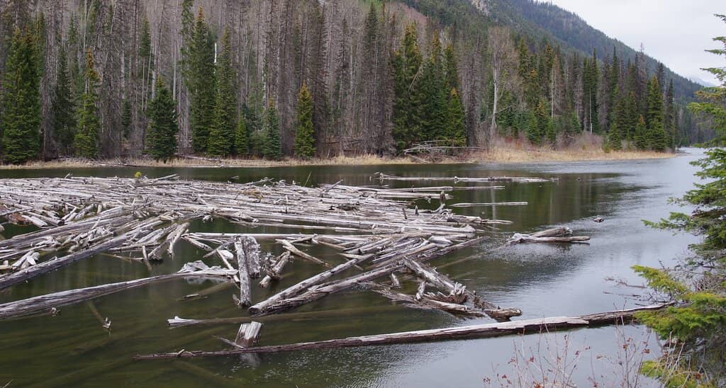Downtown Pemberton Development Site