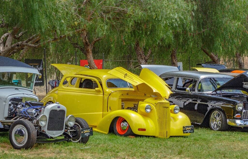 Car Show Spectacles