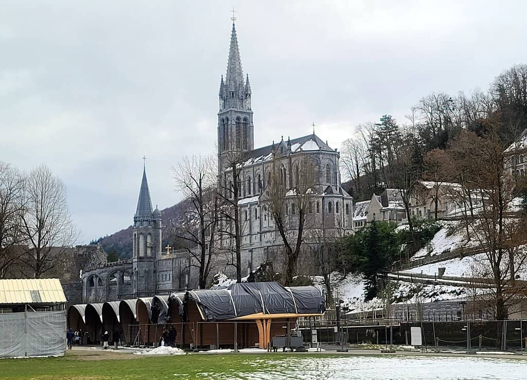 Sarça Ardente Decor