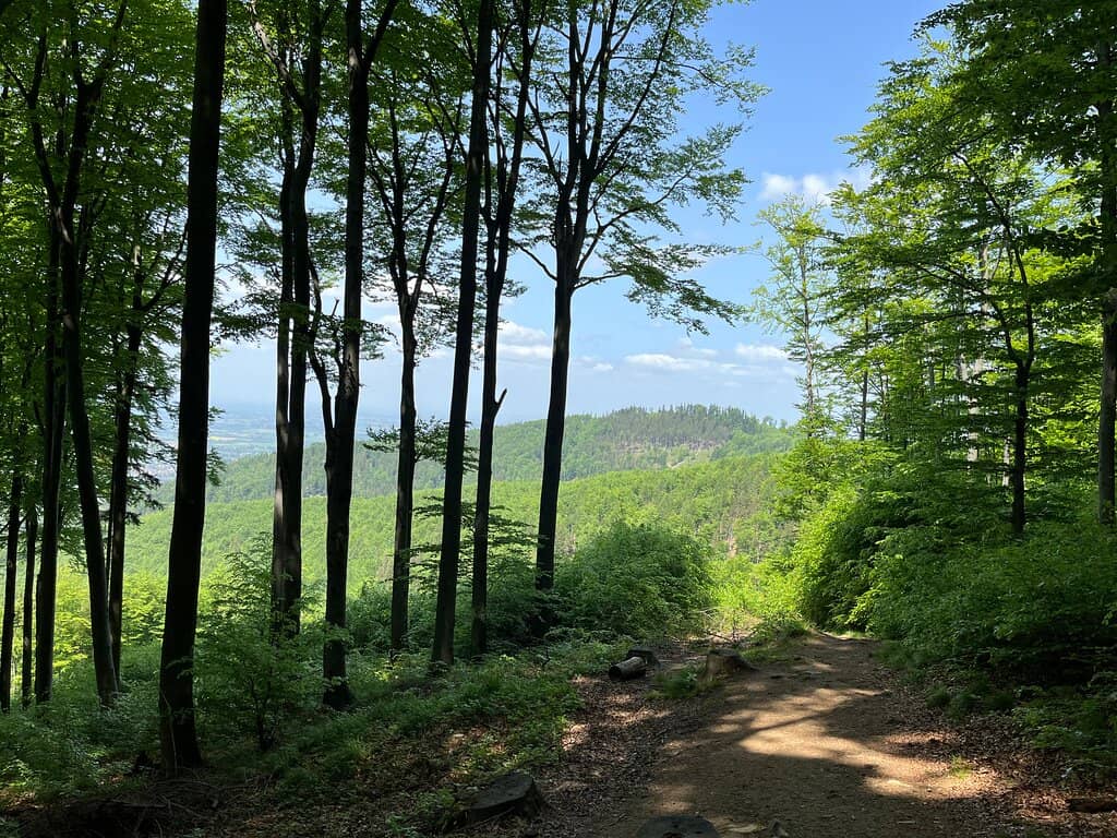 Równica Hilltop Restaurant