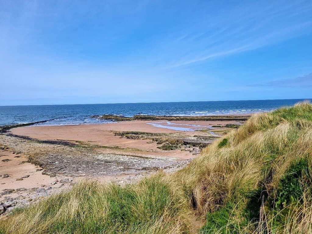 Fossil Hunting & Rock Pools