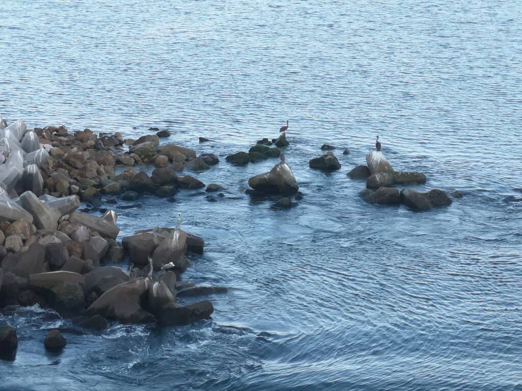Ferry to Baja California