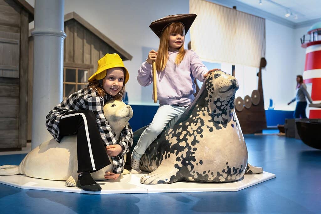 Medieval Picture Stones