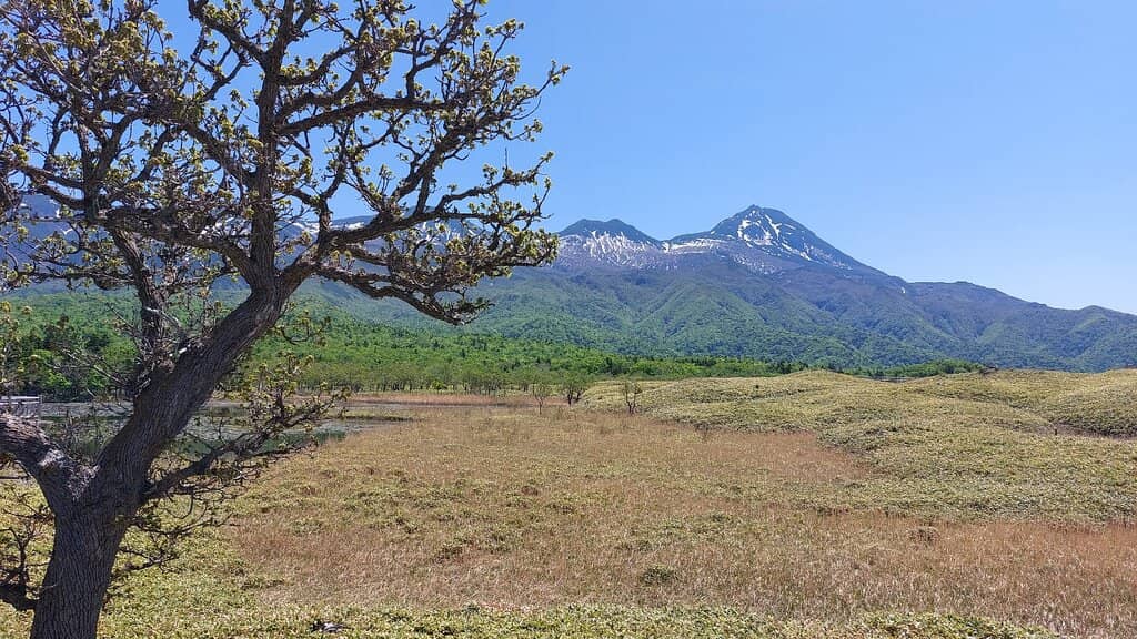 Ground Pathway Trail