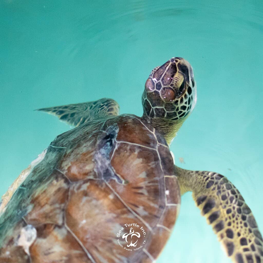 Educational Exhibits