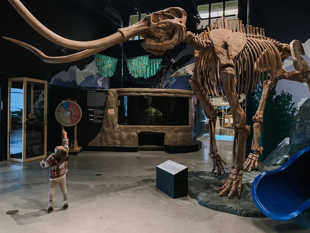 Boeing Dome Theater & Planetarium