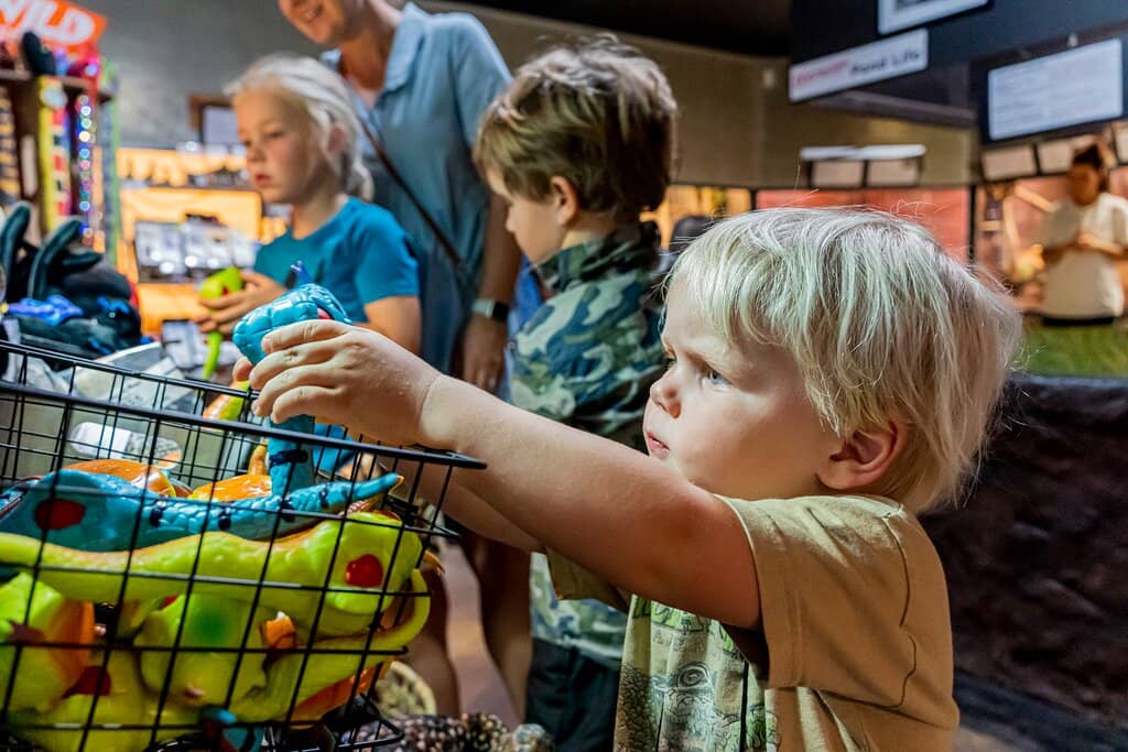 Diverse Reptile Exhibits