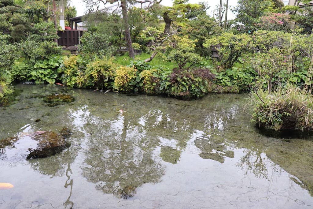 Friendly Staff & Green Tea