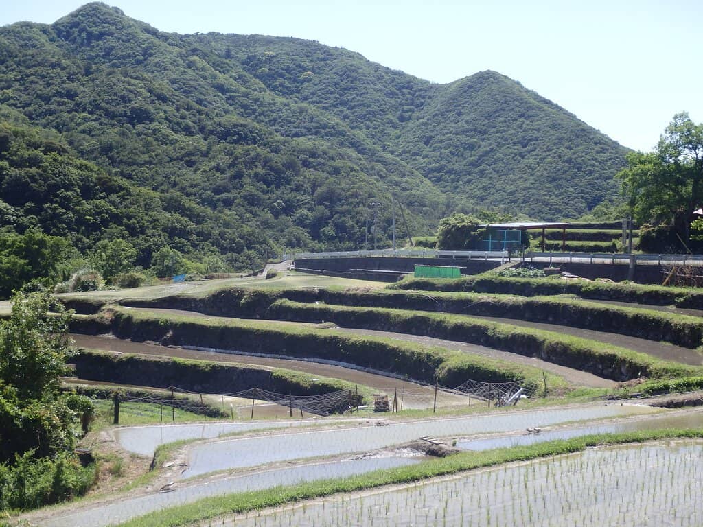 Panoramic Hillside Views