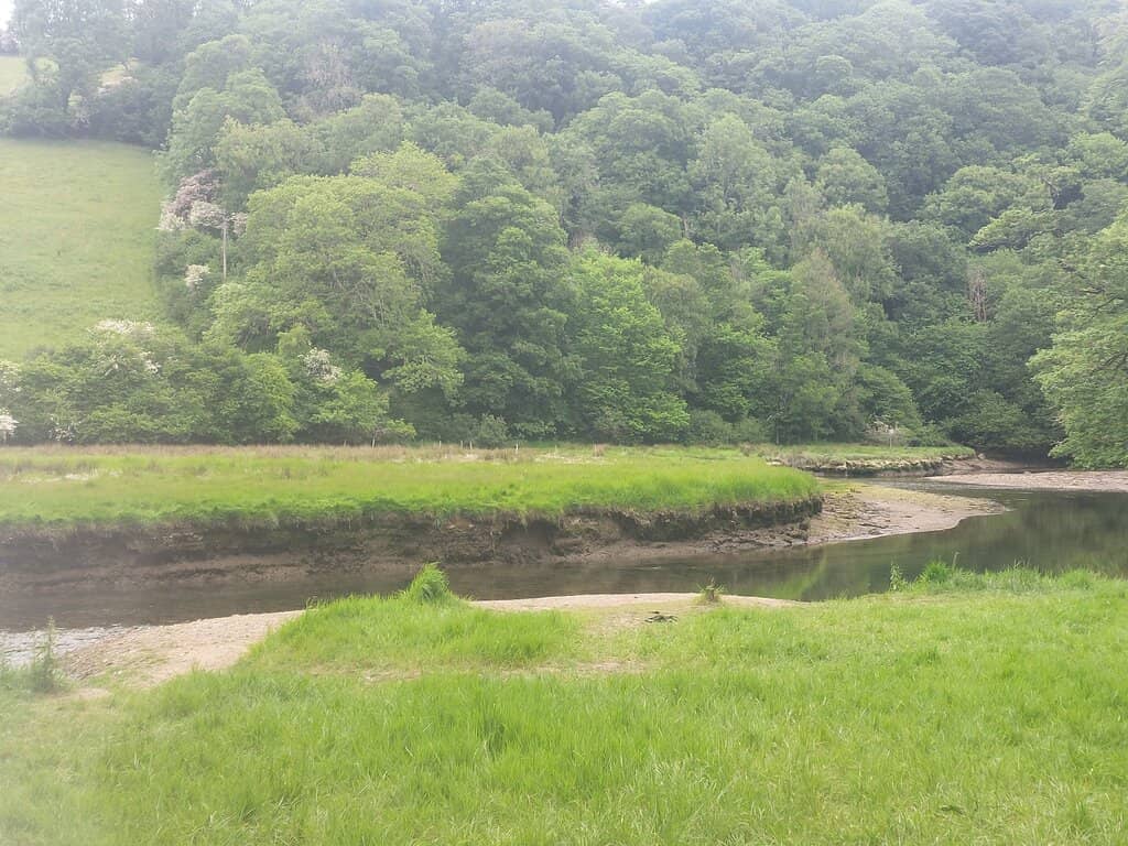Stepping Stones
