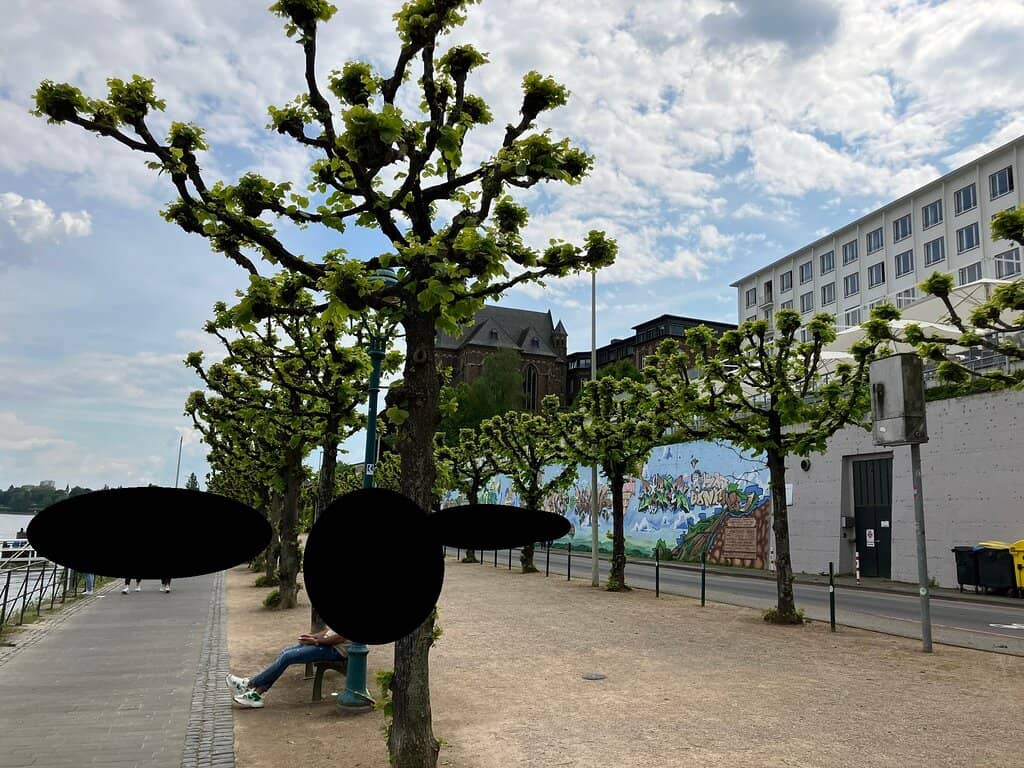 Beuel Riverside