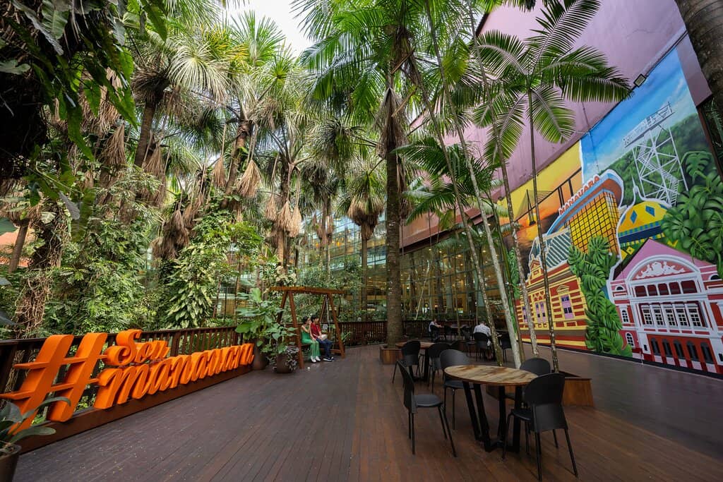 The Buriti Tree Grove