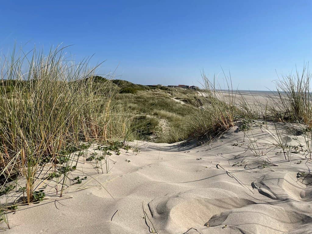 Beachfront Cafe & Activities