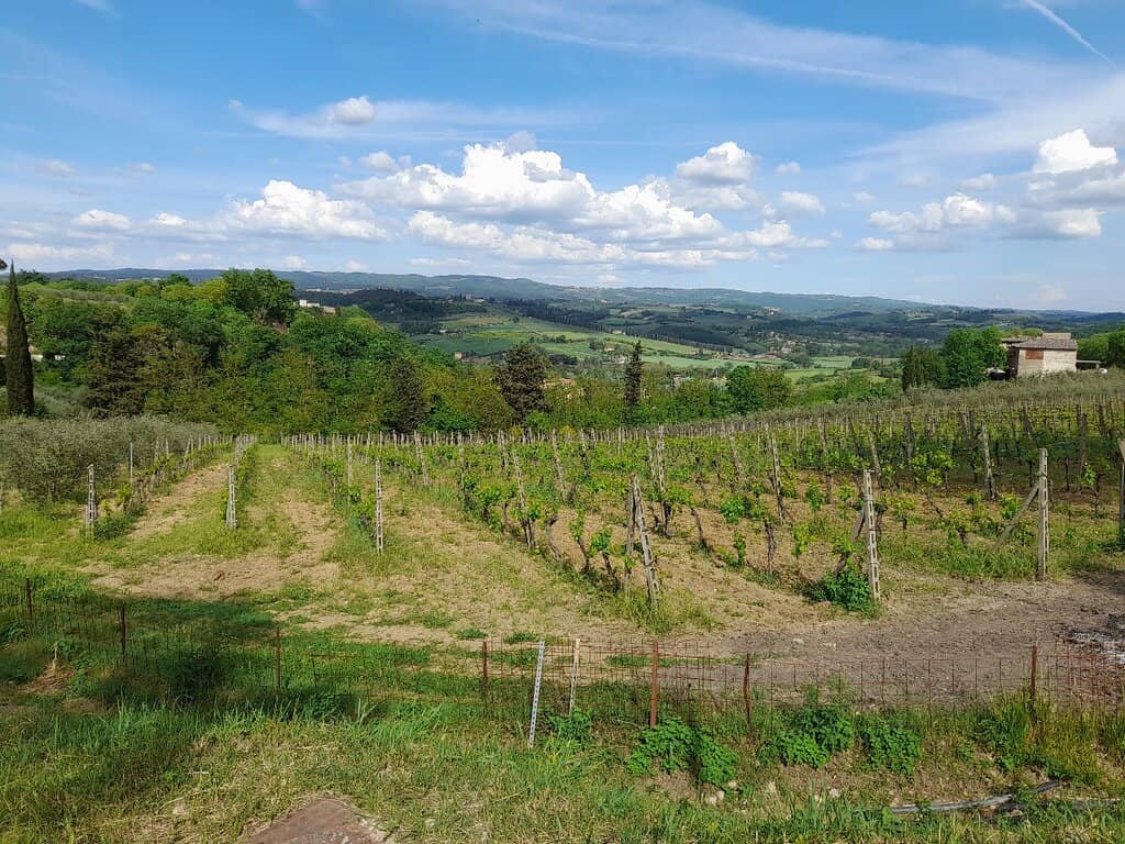 Archaeological Site & Village Recreation