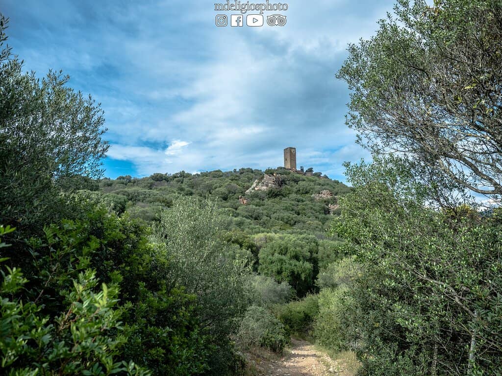 Medieval Ruins Charm