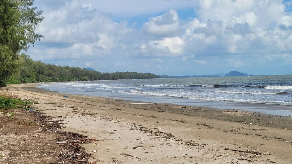 Tranquil Beach Walk