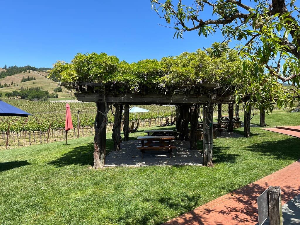 Skunk Train Adventure