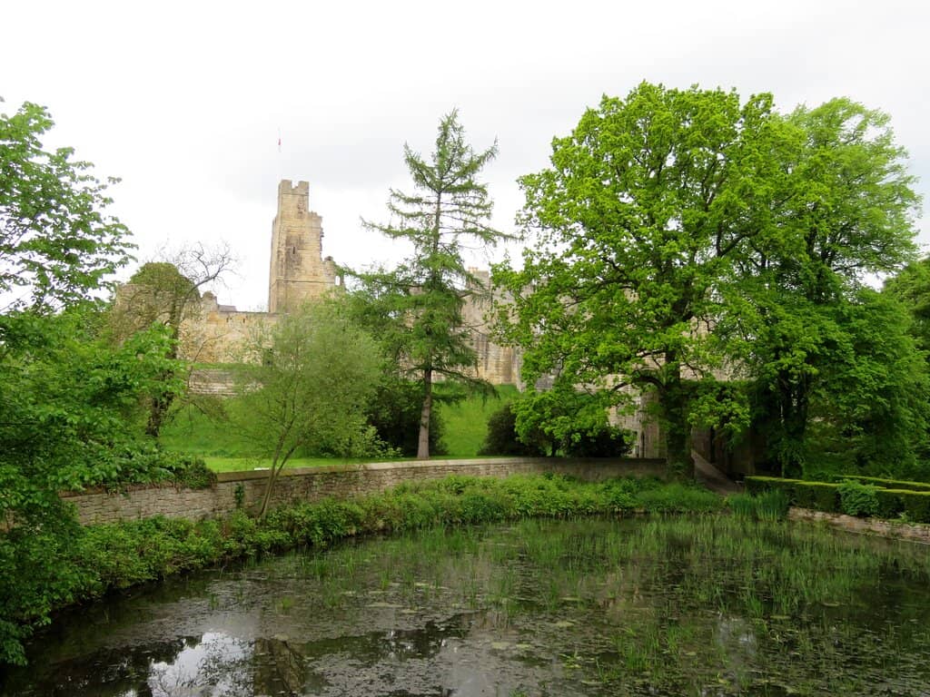 Mill Pond Views