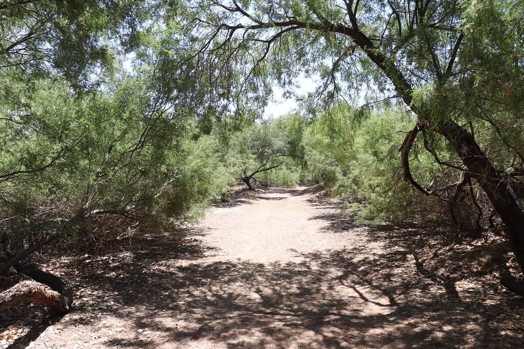 Biodiversity Hotspot