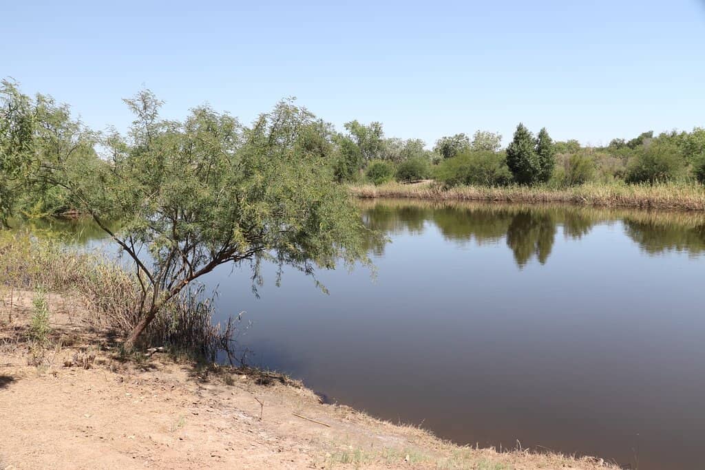 Sunrise and Sunset Views