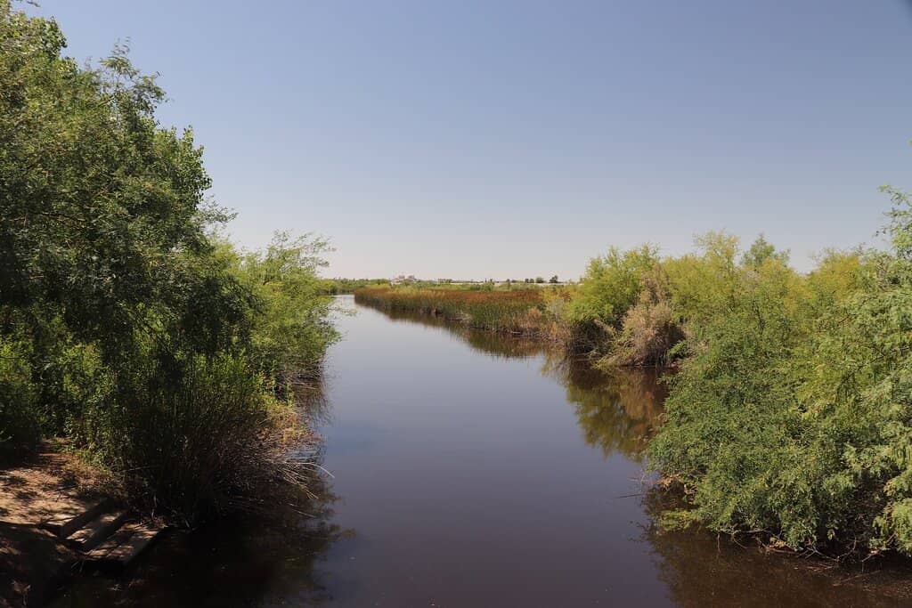 Wetlands Loop