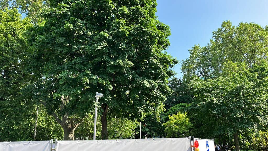 People-Watching Paradise