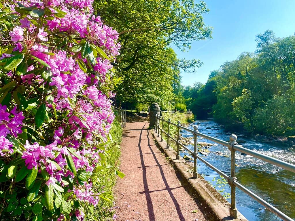 Allan Water Scenery