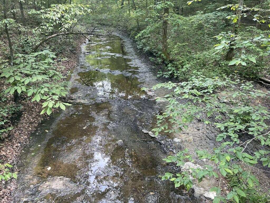 Henry Hollow Loop & Sedge Hill Trails
