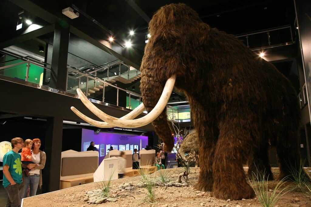 Mammoth Encounters