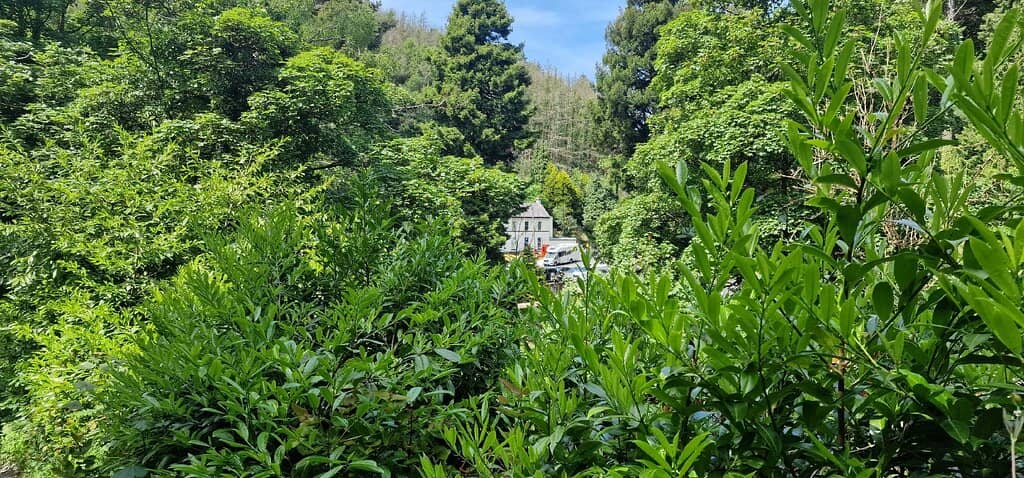 Off-Road Racing Thrills