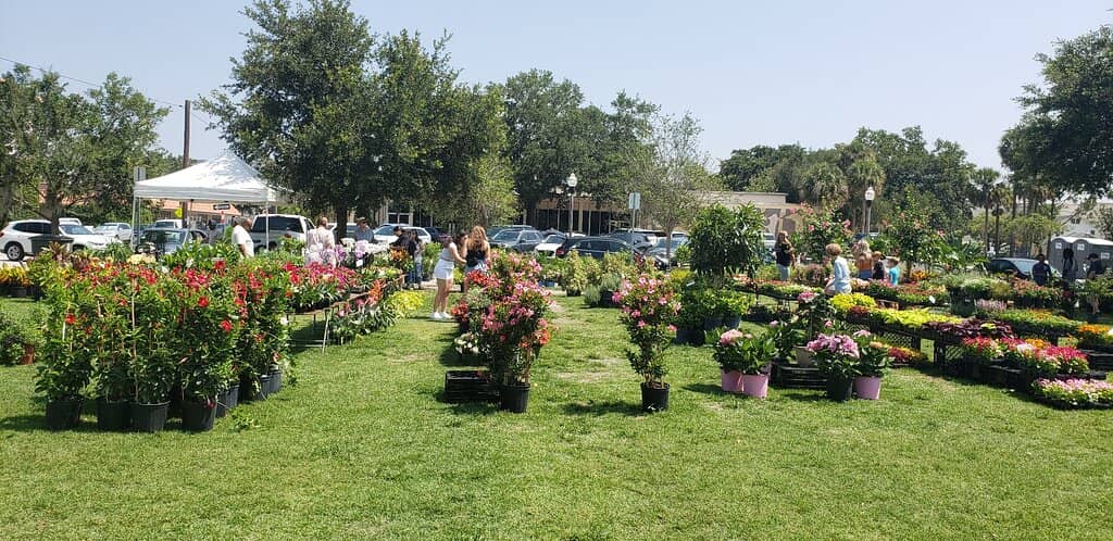 The Famous Lemonade Stand