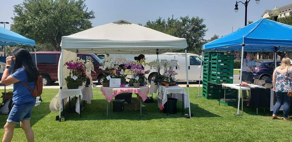 Unique Handcrafted Items