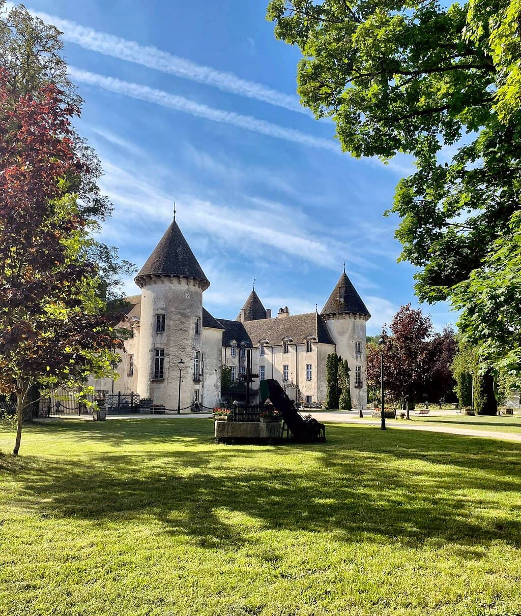 Motorcycle and Vehicle Displays