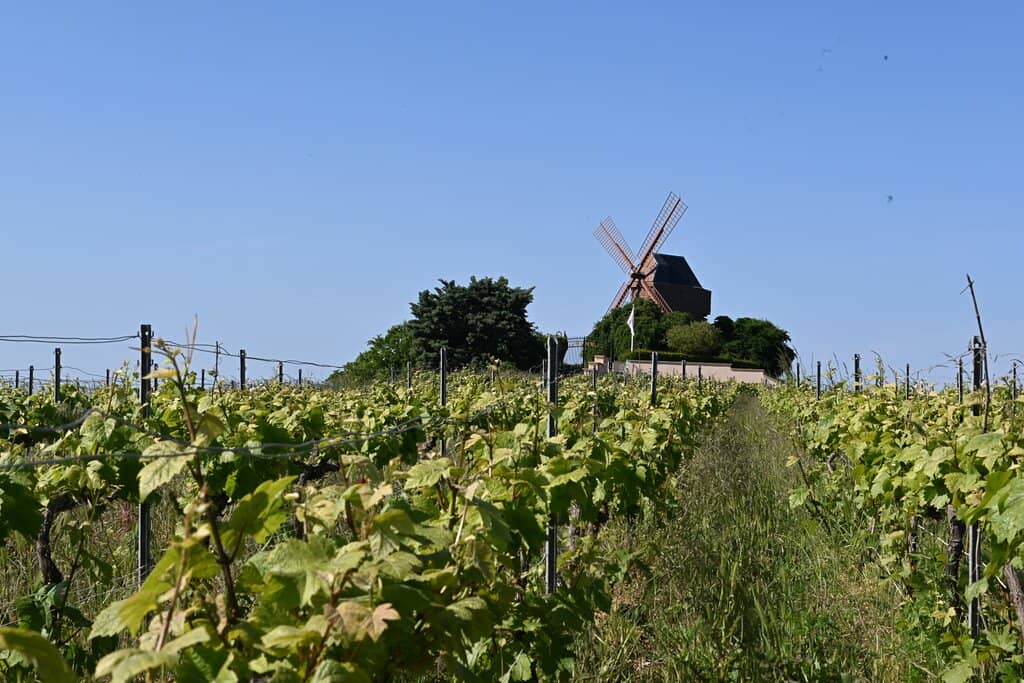 Historic Windmill Architecture